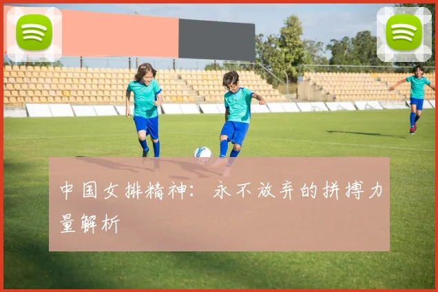 中国女排精神：永不放弃的拼搏力量解析