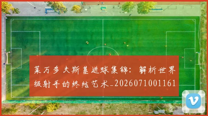 莱万多夫斯基进球集锦：解析世界级射手的终结艺术_20260710011617