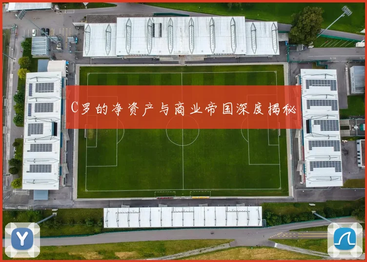 C罗的净资产与商业帝国深度揭秘