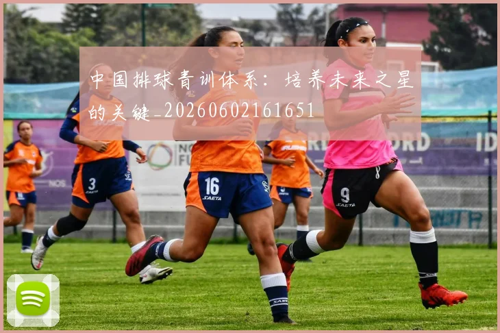 中国排球青训体系：培养未来之星的关键_20260602161651