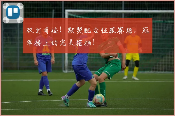 双打奇迹！默契配合征服赛场，冠军榜上的完美搭档！